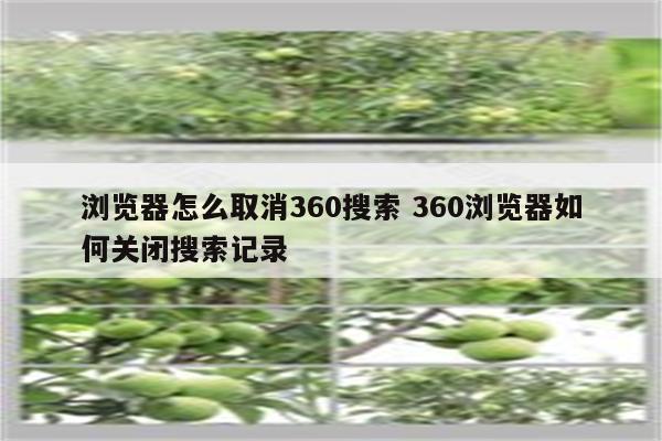 浏览器怎么取消360搜索 360浏览器如何关闭搜索记录