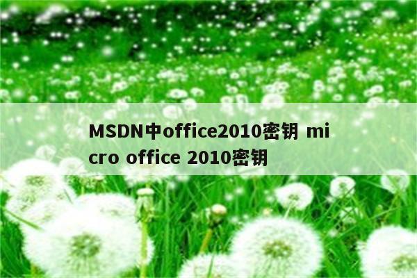 MSDN中office2010密钥 micro office 2010密钥