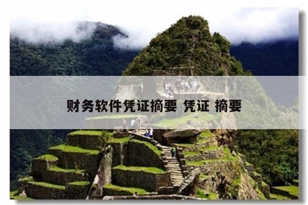 财务软件凭证摘要 凭证 摘要