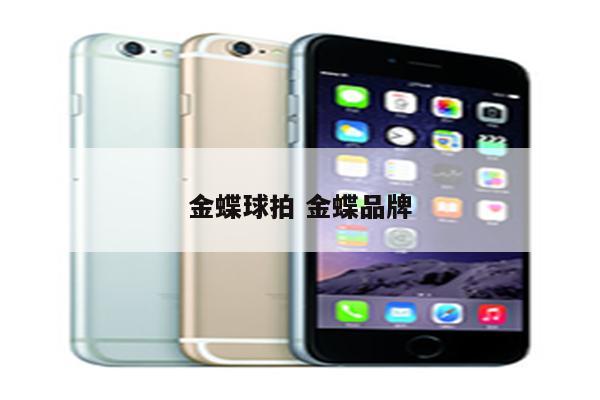 金蝶球拍 金蝶品牌