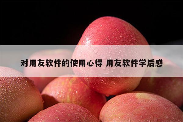对用友软件的使用心得 用友软件学后感