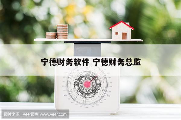 宁德财务软件 宁德财务总监
