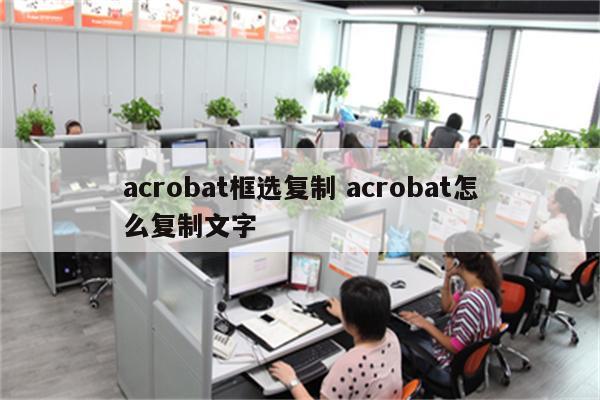 acrobat框选复制 acrobat怎么复制文字
