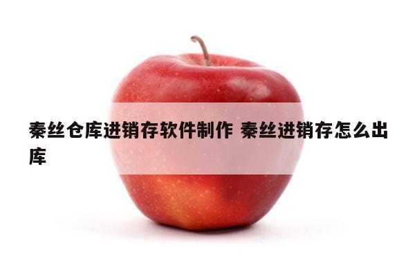 秦丝仓库进销存软件制作 秦丝进销存怎么出库