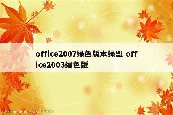 office2007绿色版本绿盟 office2003绿色版