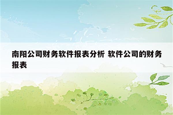 南阳公司财务软件报表分析 软件公司的财务报表