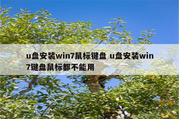 u盘安装win7鼠标键盘 u盘安装win7键盘鼠标都不能用