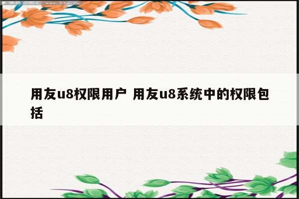 用友u8权限用户 用友u8系统中的权限包括