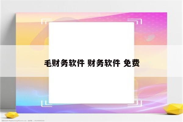 毛财务软件 财务软件 免费