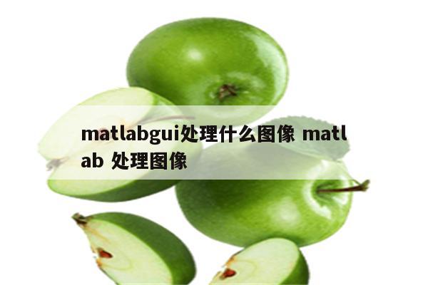 matlabgui处理什么图像 matlab 处理图像