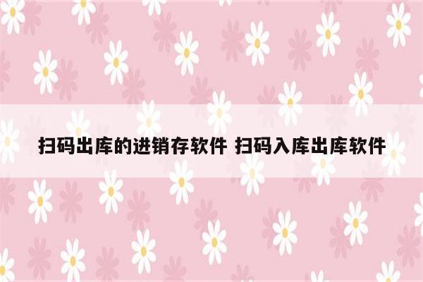 扫码出库的进销存软件 扫码入库出库软件