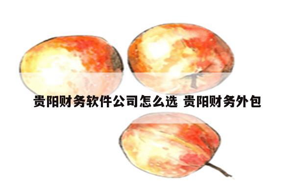 贵阳财务软件公司怎么选 贵阳财务外包