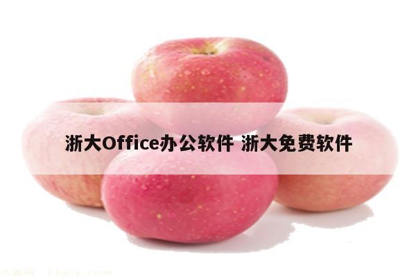 浙大Office办公软件 浙大免费软件