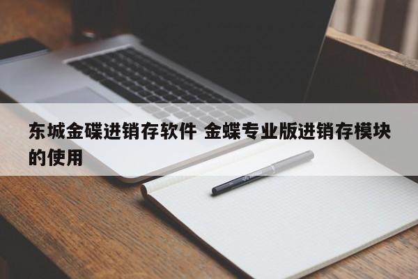 东城金碟进销存软件 金蝶专业版进销存模块的使用