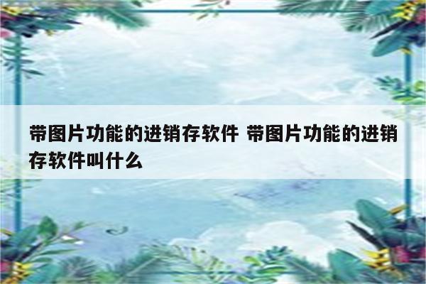 带图片功能的进销存软件 带图片功能的进销存软件叫什么