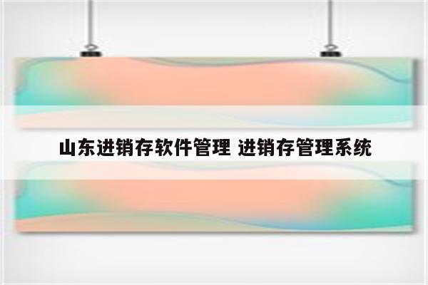 山东进销存软件管理 进销存管理系统