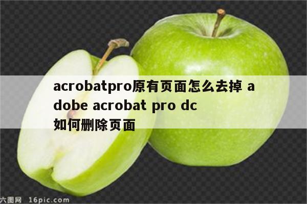 acrobatpro原有页面怎么去掉 adobe acrobat pro dc 如何删除页面