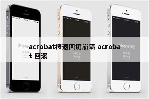 acrobat按返回键崩溃 acrobat 回滚