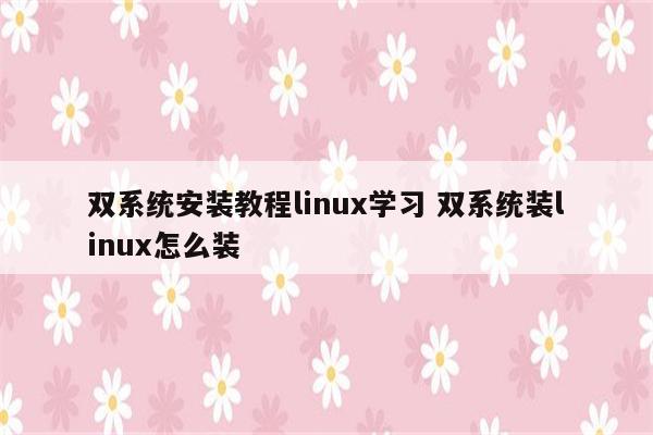 双系统安装教程linux学习 双系统装linux怎么装