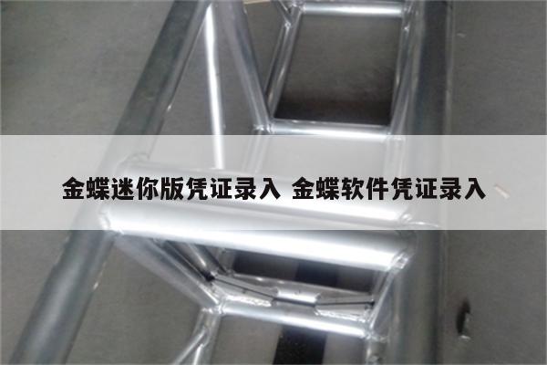 金蝶迷你版凭证录入 金蝶软件凭证录入