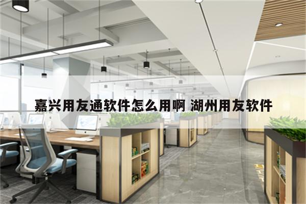 嘉兴用友通软件怎么用啊 湖州用友软件