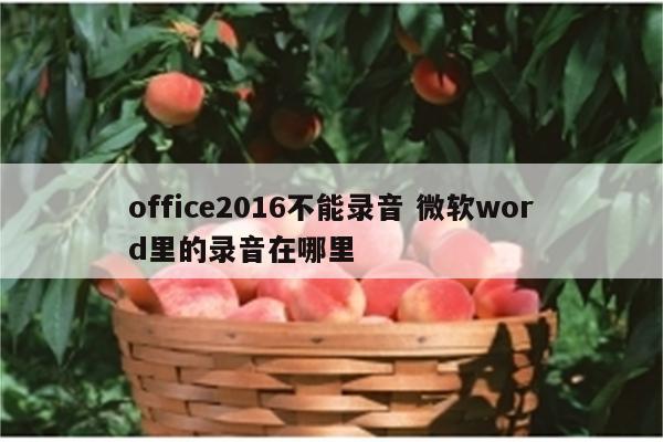 office2016不能录音 微软word里的录音在哪里