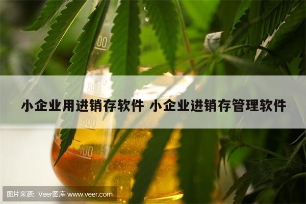 小企业用进销存软件 小企业进销存管理软件