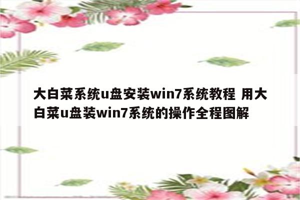 大白菜系统u盘安装win7系统教程 用大白菜u盘装win7系统的操作全程图解