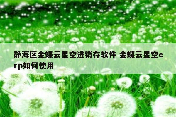 静海区金蝶云星空进销存软件 金蝶云星空erp如何使用