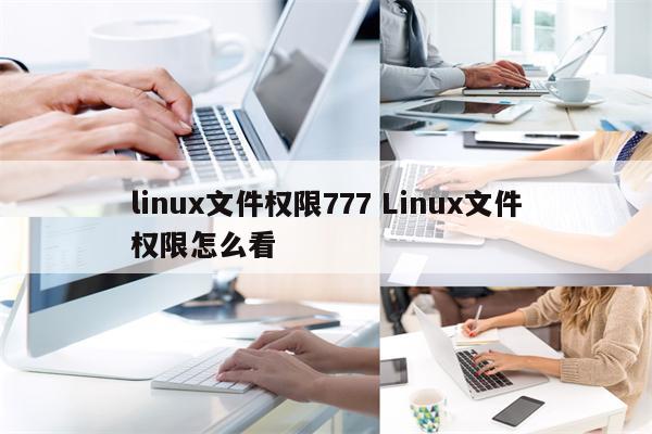 linux文件权限777 Linux文件权限怎么看