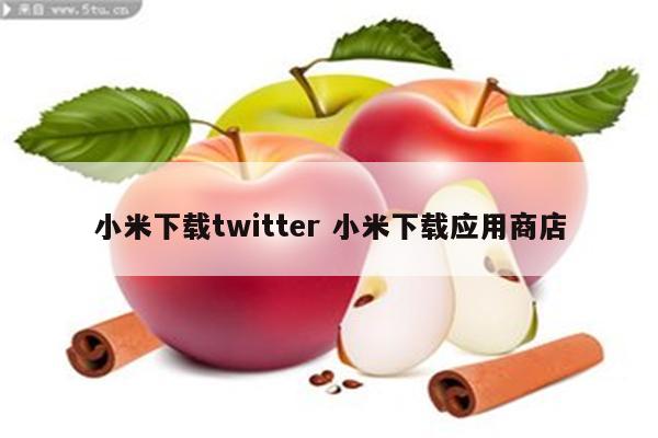 小米下载twitter 小米下载应用商店