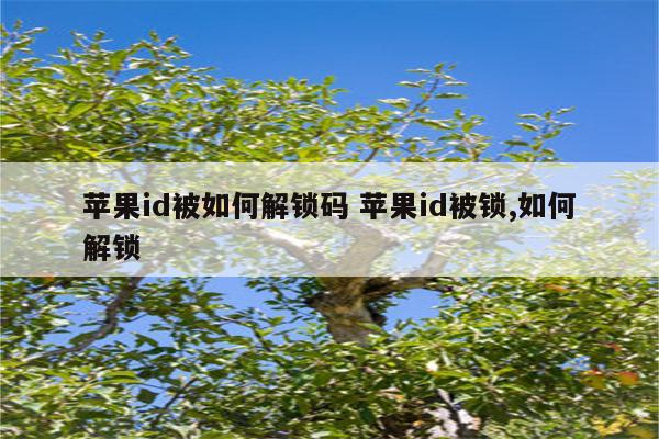 苹果id被如何解锁码 苹果id被锁,如何解锁
