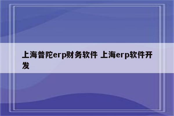 上海普陀erp财务软件 上海erp软件开发