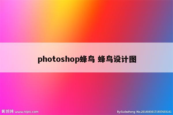 photoshop蜂鸟 蜂鸟设计图