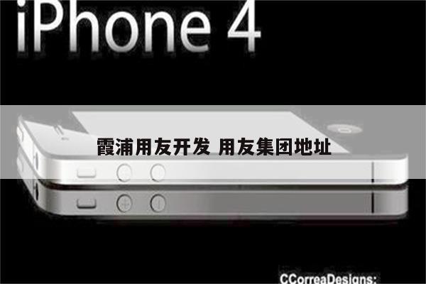 霞浦用友开发 用友集团地址