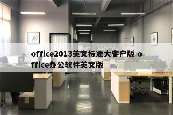 office2013英文标准大客户版 office办公软件英文版