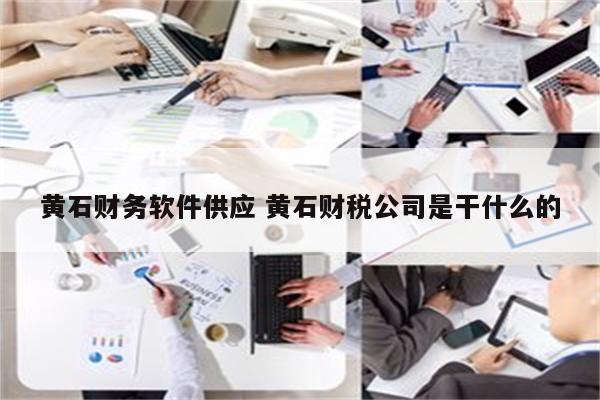 黄石财务软件供应 黄石财税公司是干什么的