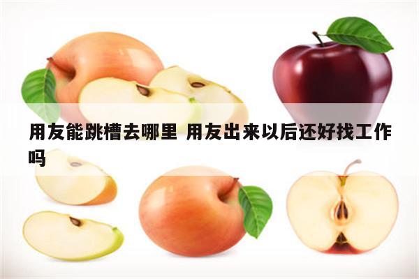用友能跳槽去哪里 用友出来以后还好找工作吗