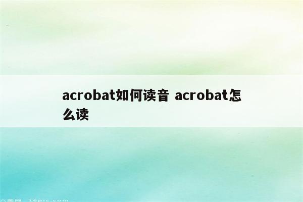 acrobat如何读音 acrobat怎么读