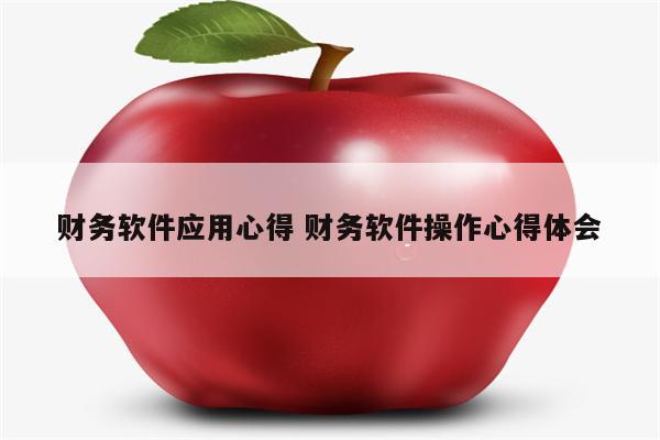 财务软件应用心得 财务软件操作心得体会