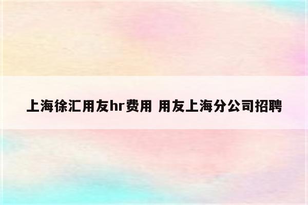 上海徐汇用友hr费用 用友上海分公司招聘