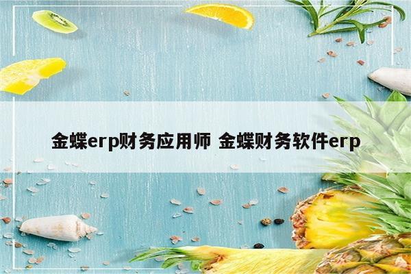 金蝶erp财务应用师 金蝶财务软件erp