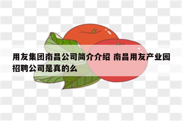 用友集团南昌公司简介介绍 南昌用友产业园招聘公司是真的么