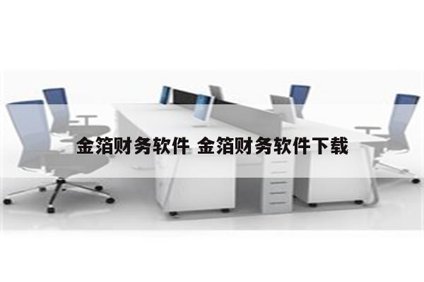金箔财务软件 金箔财务软件下载