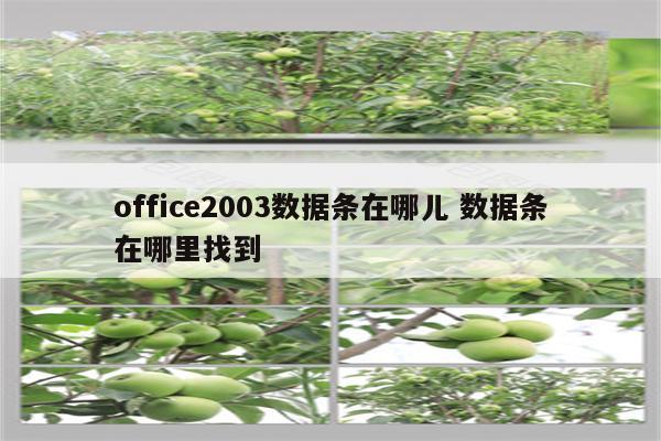 office2003数据条在哪儿 数据条在哪里找到