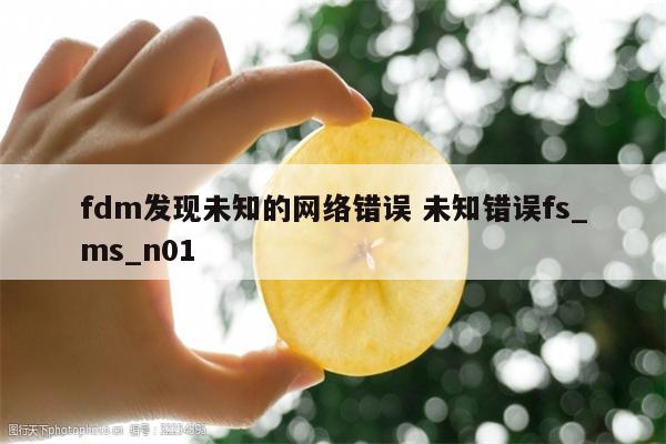 fdm发现未知的网络错误 未知错误fs_ms_n01