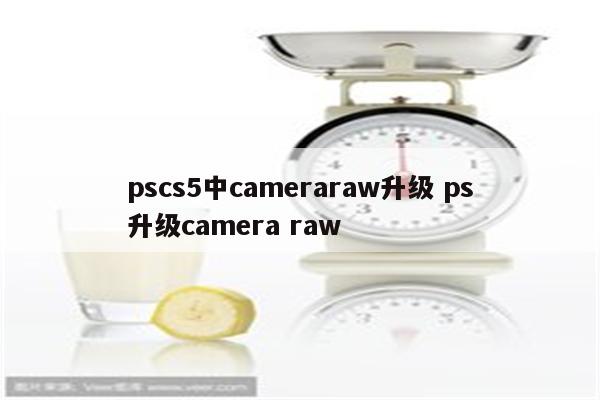 pscs5中cameraraw升级 ps升级camera raw
