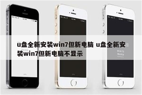 u盘全新安装win7但新电脑 u盘全新安装win7但新电脑不显示