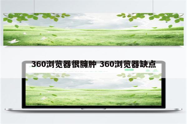 360浏览器很臃肿 360浏览器缺点