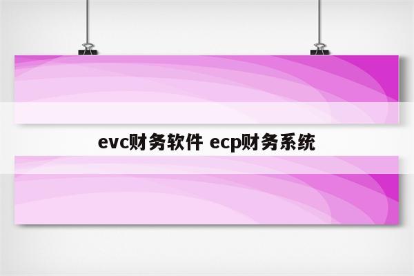 evc财务软件 ecp财务系统